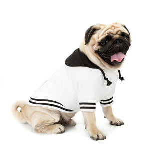 GLORIOUS KEK Dog Hoodies Plain Fall/Winter Dog Clothes Sweatshirt Blank Dog Hoodies for Small Dogs Chihuahua Pugs Pet Supplies