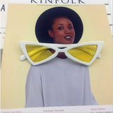 Small Triangle Cat Eye Sunglasses Women Fashion Vintage Cat Eyeglasses Female 2018 Stylish Sun Glasses UV400 Goggles